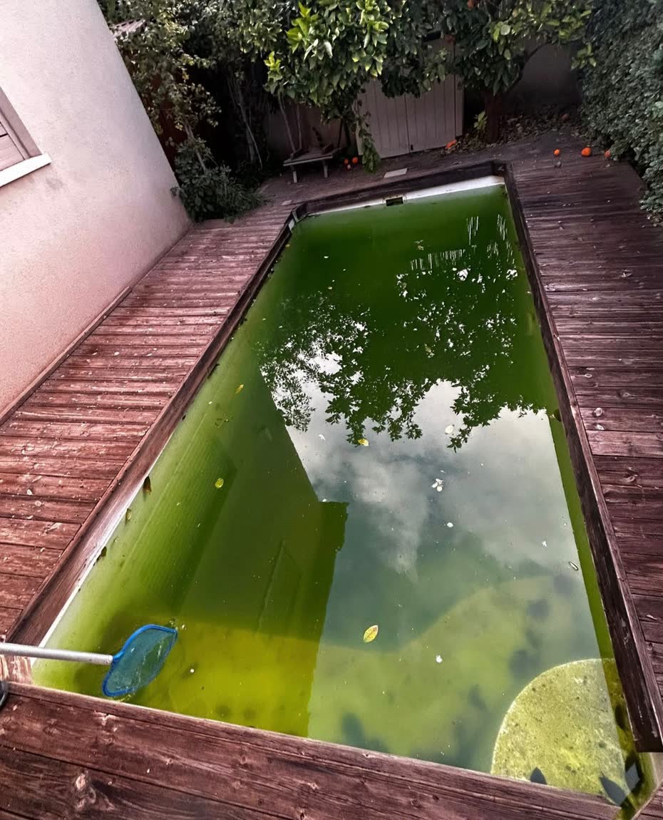 בריכה מלוכלכת לפני טיפול